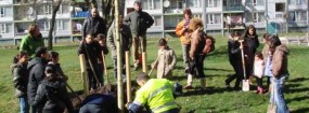 boomOvervecht6