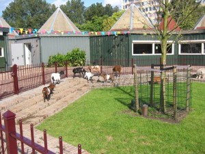 Stadsboerderij de Gagel_geitjes